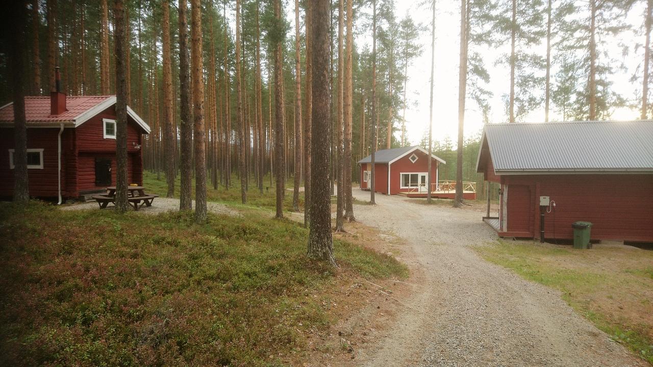 Zorbcenter Holiday Homes Hammarstrand Bagian luar foto